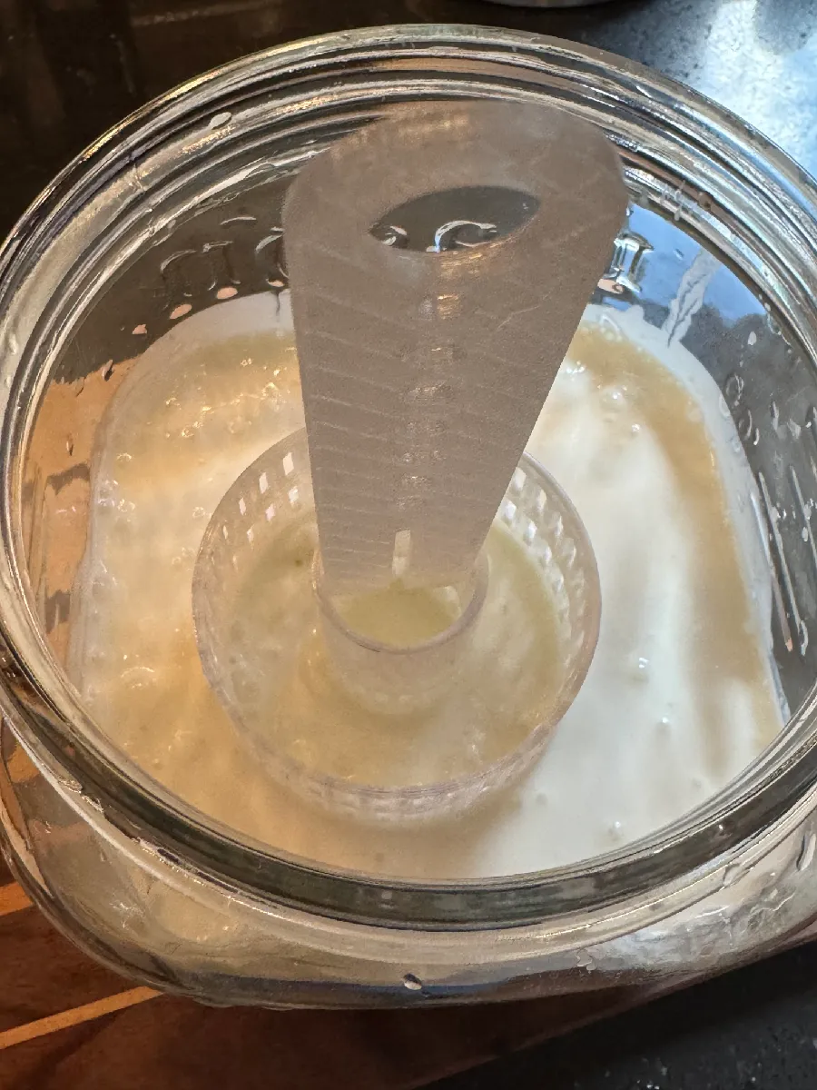 Kefir-Sieb für Mason Jars | Innovativer Kefir-Lifter - image10 Kefir-Sieb für Mason Jars | Innovativer Kefir-Lifter – Bild 2