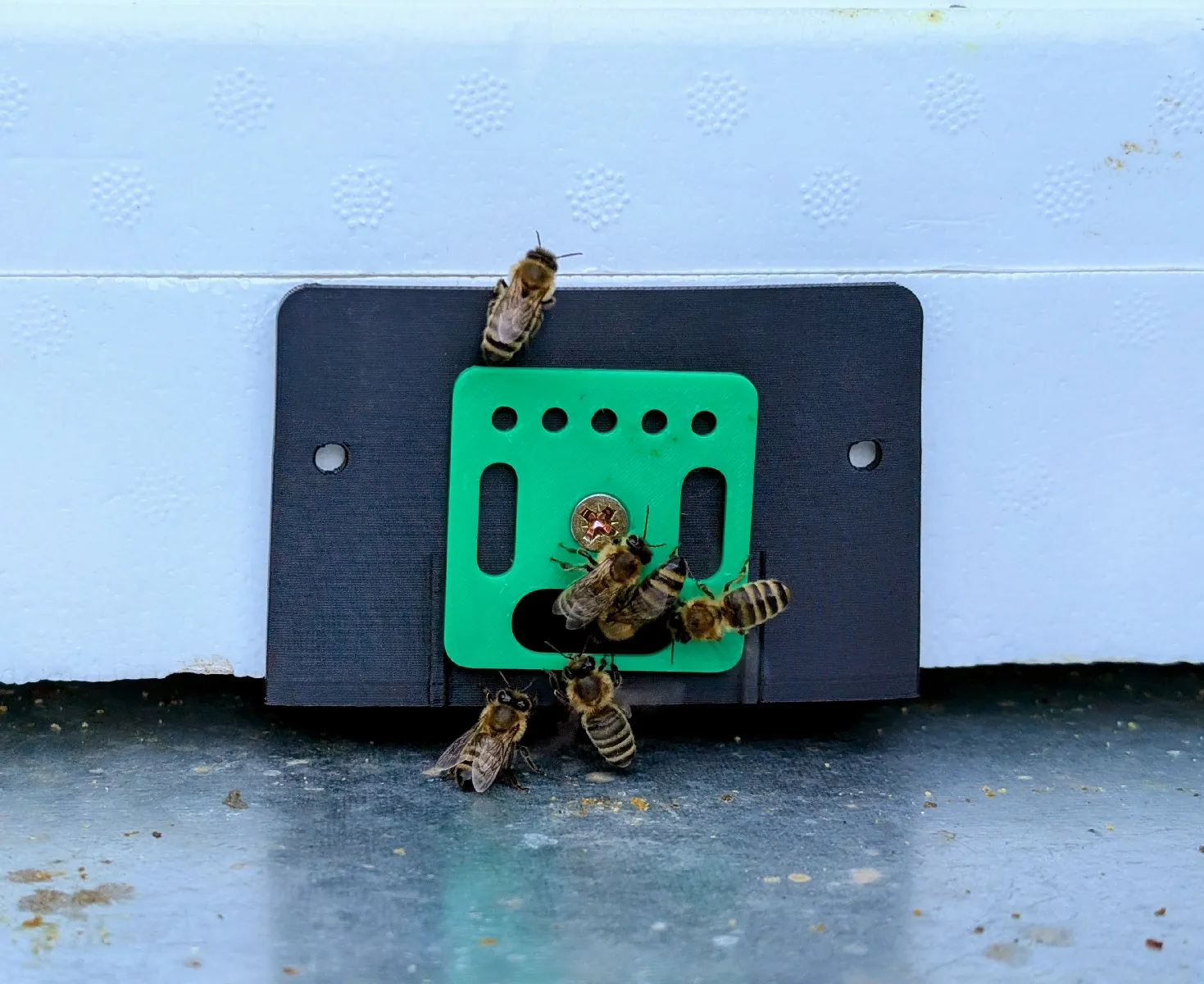 Mini Plus Fluglochschieber | Bienenstock Eingangskontrolle
