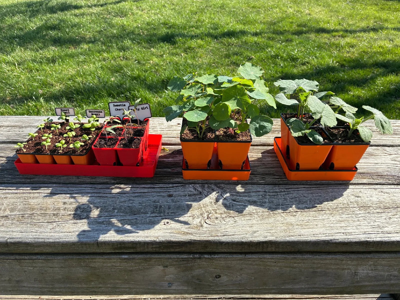 Anzuchtschalen Set & Pikierstab | Garten Anzucht-System