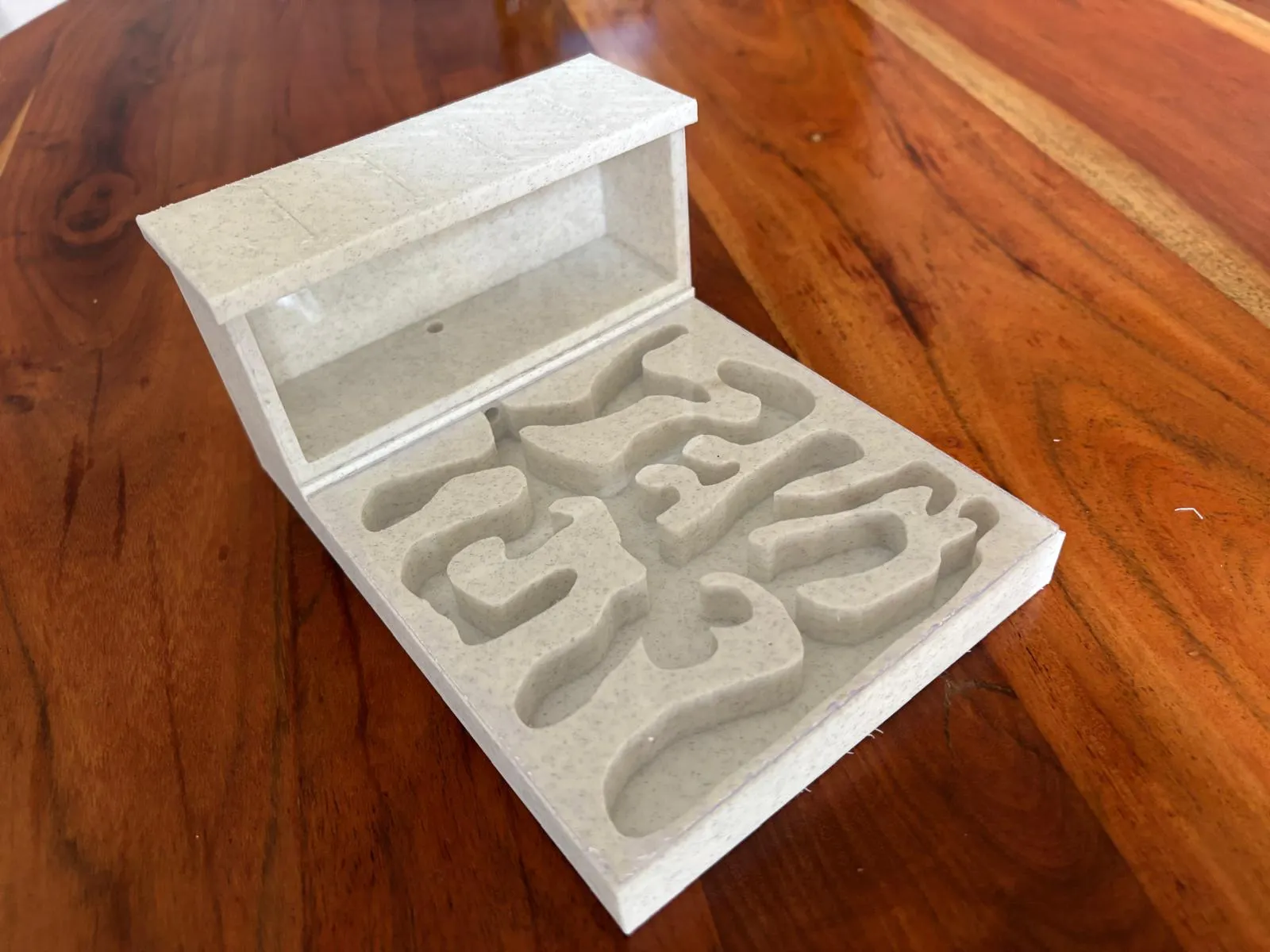 Ameisenfarm Formicarium | Nest & Arena Set für Beobachtungen