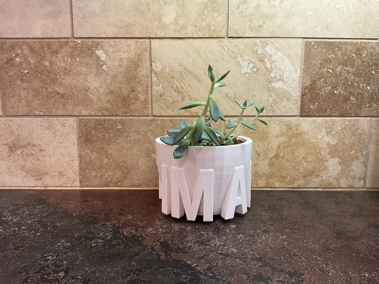 Design Blumentopf "im a plant" | Moderner Übertopf für Pflanzen