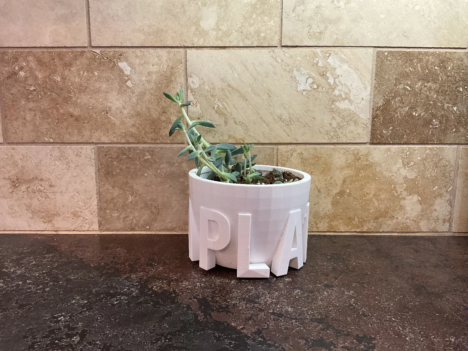 Design Blumentopf "im a plant" | Moderner Übertopf für Pflanzen - image6 Design Blumentopf "im a plant" | Moderner Übertopf für Pflanzen – Bild 6