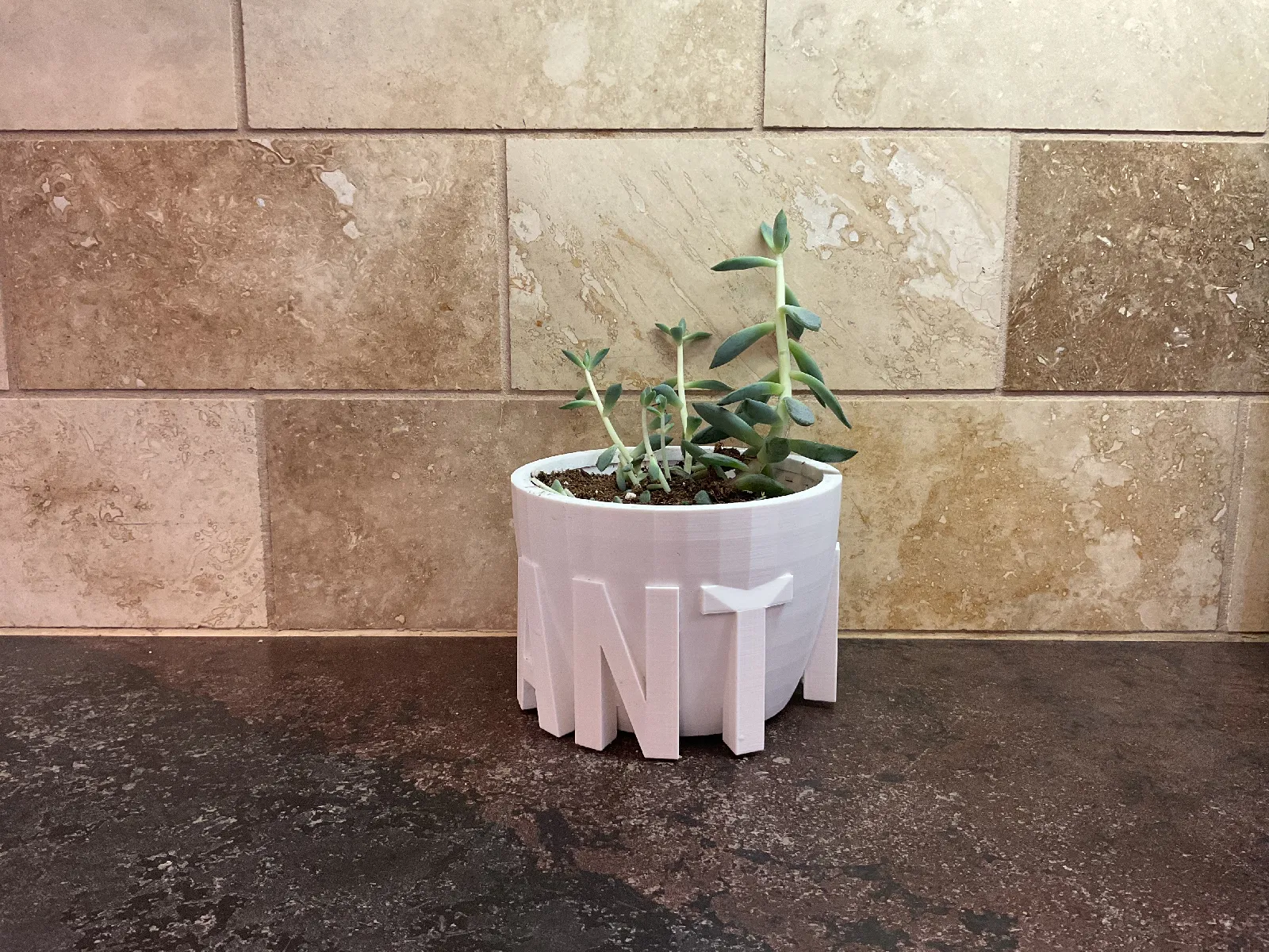 Design Blumentopf "im a plant" | Moderner Übertopf für Pflanzen - image7 Design Blumentopf "im a plant" | Moderner Übertopf für Pflanzen – Bild 7