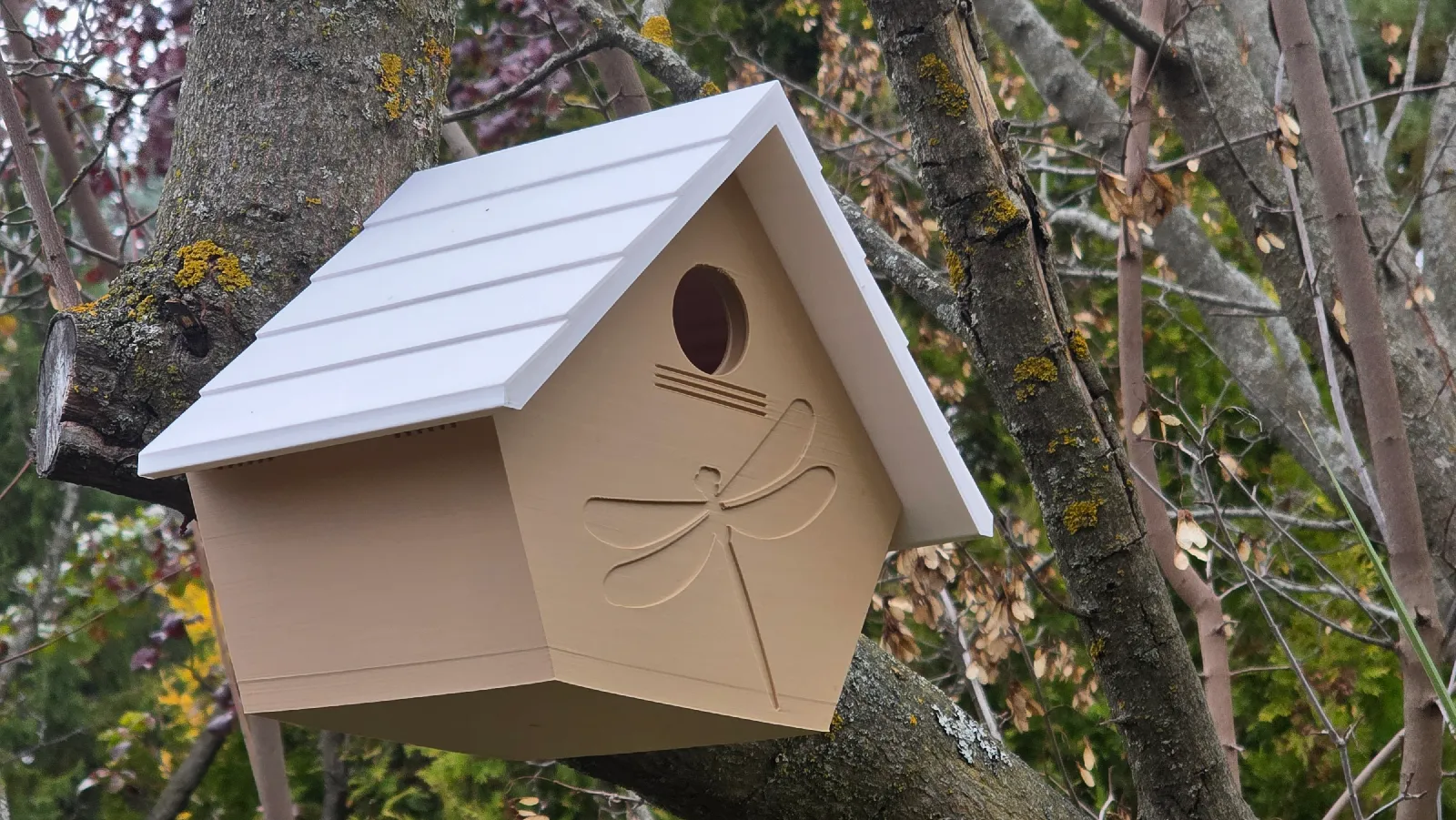 Modernes Vogelhaus mit Kamera-Halterung | Smart Home Garten