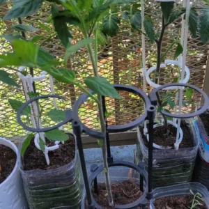 Modulare Rankhilfe für Tomaten | Stabiles Pflanzengestell