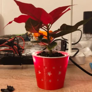 LED Weihnachts-Übertopf mit Sternen | Festliche Dekoration