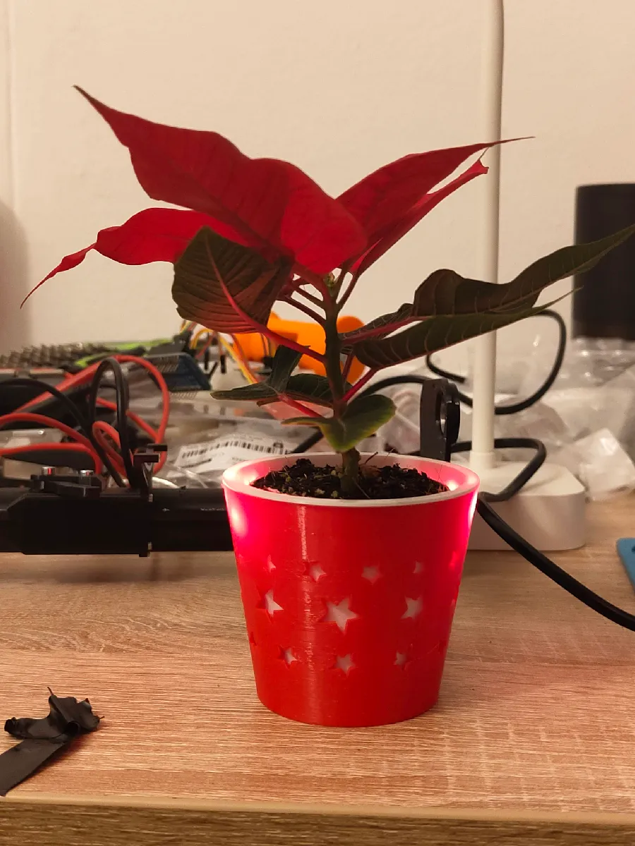 LED Weihnachts-Übertopf mit Sternen | Festliche Dekoration