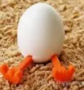 Eggory The Egg Figur | Lustige Deko & Sammlerstück