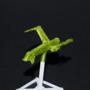 Hype Fazon's Racer Miniatur | Star Wars Sammlerfigur