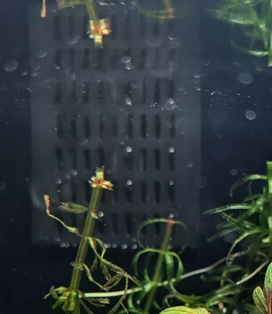 Garnelenschutz für Xiaomi MyG100 Aquarium-Filter