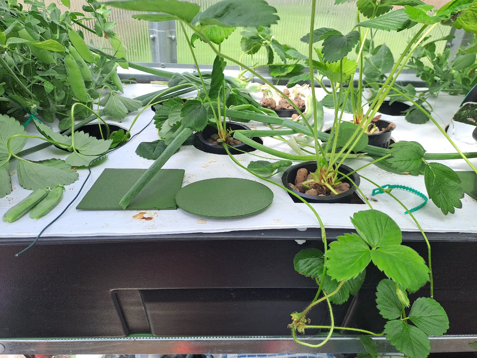 Abdeckung für Hydroponik Systeme