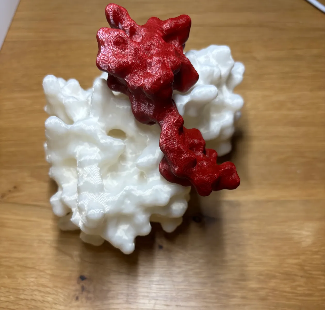 Protein Komplex Modell