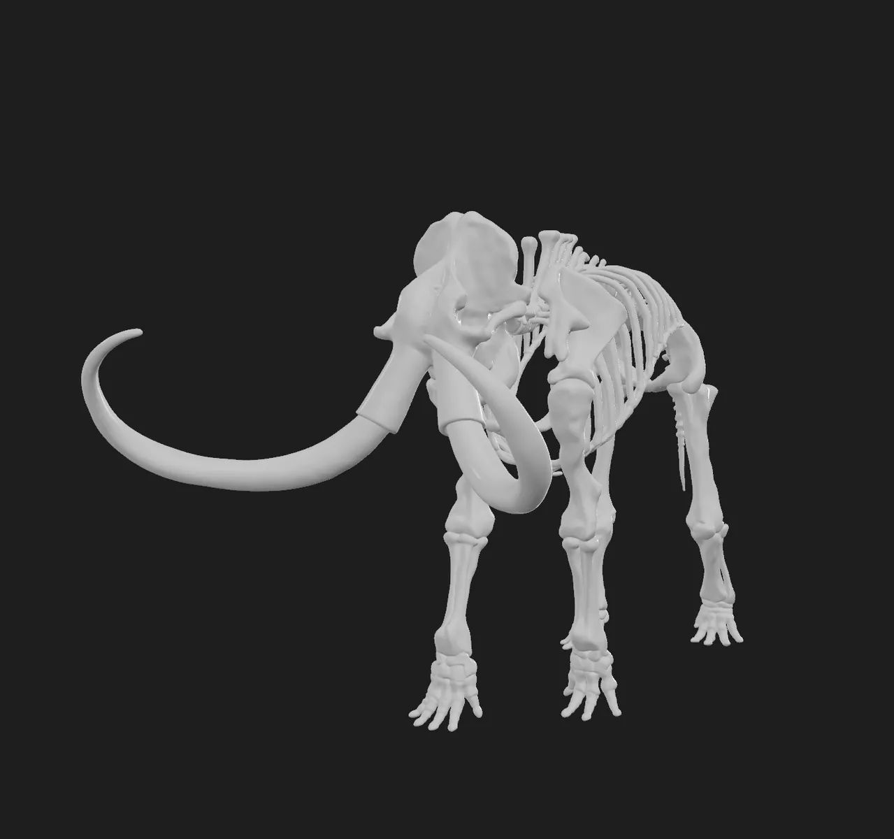 Mammut Skelett Modell