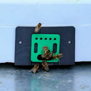 Bienenflugloch für Bienenstock | Verstellbare Flugöffnung